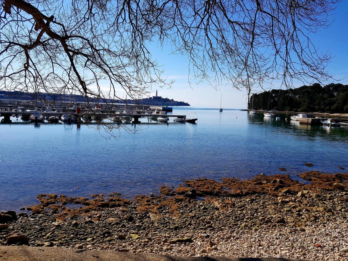 Martin Apartments Rovinj Zewnętrze zdjęcie
