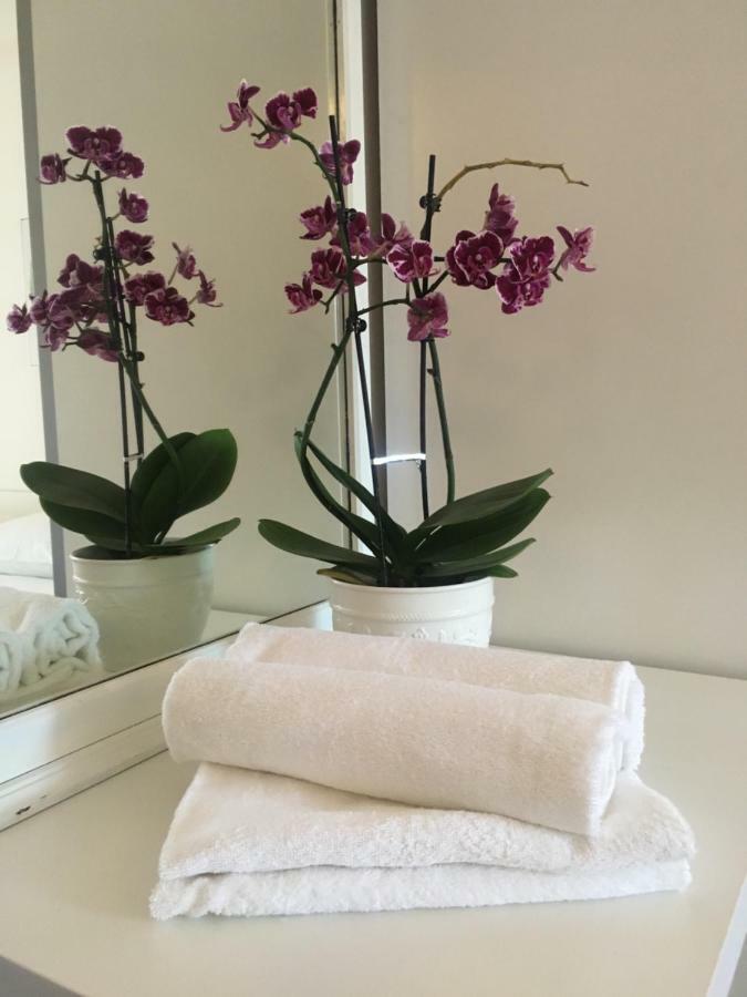 Martin Apartments Rovinj Zewnętrze zdjęcie